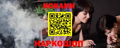 стафф Гай