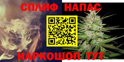 стафф Гатчина