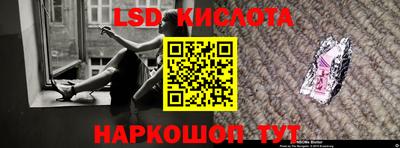 стафф Гатчина