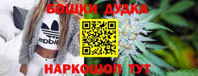 стафф Гатчина