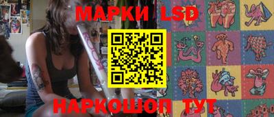 стафф Гатчина