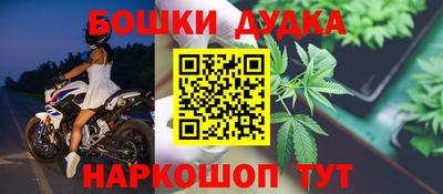 стафф Гай