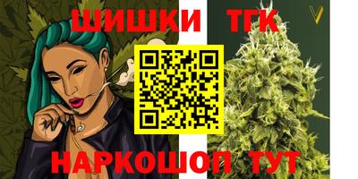 стафф Гатчина