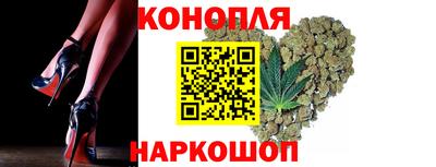 стафф Гатчина