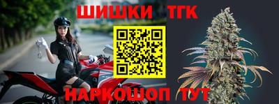 стафф Гай