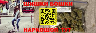 стафф Гатчина