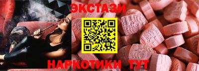 стафф Гатчина