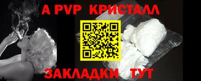 стафф Гай