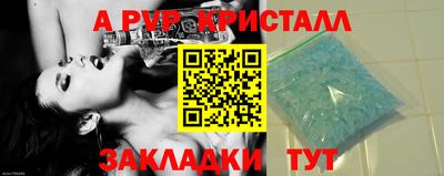 стафф Гатчина