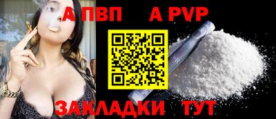 стафф Гай