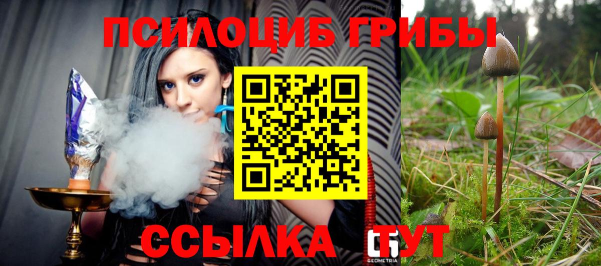 Галлюциногенные грибы прущие грибы Мытищи